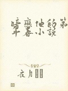 暗恋他的第十一年春小说