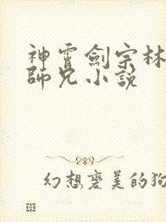 神霄剑宗林枫大师兄小说