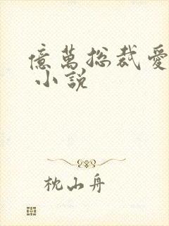 亿万总裁爱上我 小说