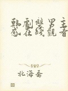 韩剧双男主第八感在线观看