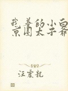 我养的小白脸是京圈太子爷小说