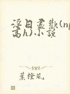 淫日尽欢(np高h)小说