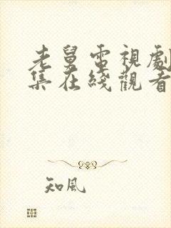 老舅电视剧27集在线观看