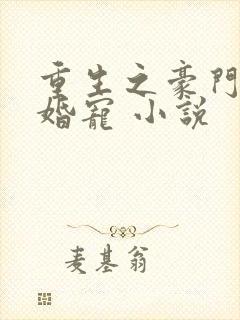 重生之豪门第一婚宠 小说