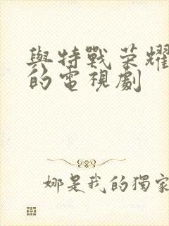 与特战荣耀类似的电视剧