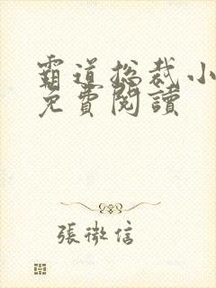 霸道总裁小娇妻免费阅读