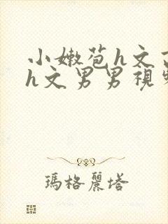 小嫩苞h文高辣h文男男视频