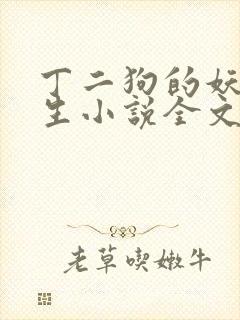 丁二狗的妖孽人生小说全文无删减