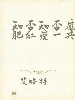 知否知否应是绿肥红瘦一共多少集