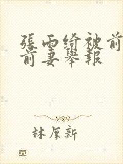 张雨绮被前夫的前妻举报