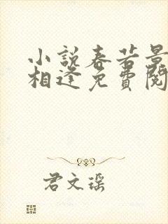 小说春若景明不相逢免费阅读