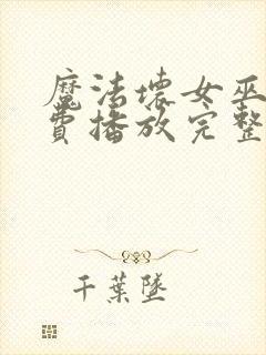 魔法坏女巫2免费播放完整版封面