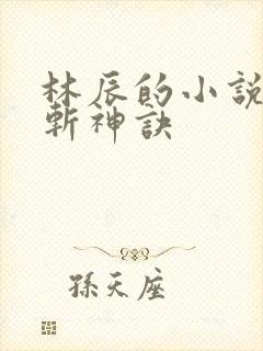 林辰的小说九天斩神诀