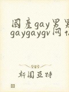 国产gay男男gaygaygv网站
