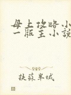 母上攻略小说第一版主小说网