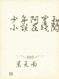 少年阿宾和慧珏小说在线阅读