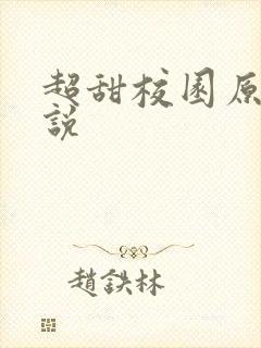 超甜校园原耽小说封面