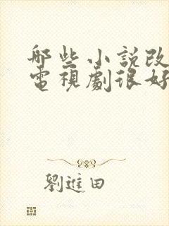 哪些小说改编的电视剧很好看