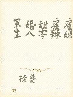 军婚甜蜜蜜,重生八零辣媳巧当家封面