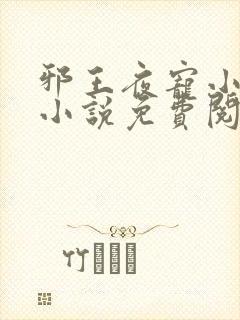 邪王夜宠小毒妃小说免费阅读全文