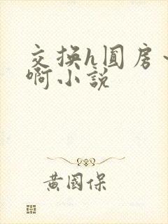 交换h圆房～嗯啊小说