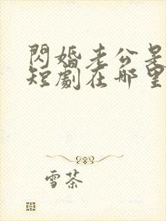 闪婚老公是总裁短剧在哪里免费看封面