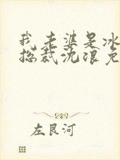 我老婆是冰山女总裁沈浪免费阅读封面