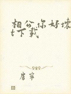 相公你好坏txt下载
