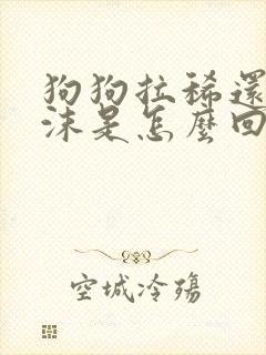 狗狗拉稀还吐白沫是怎么回事封面