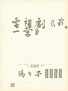 电视剧《我的特一营》