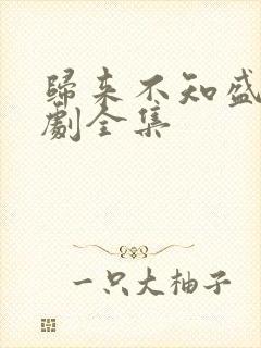 归来不知盛夏短剧全集