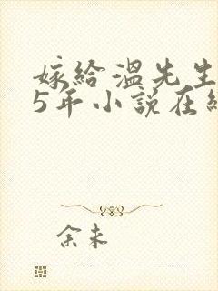 嫁给温先生的第5年小说在线阅读