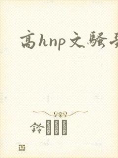 高hnp文骚受