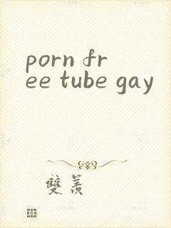 porn free tube gay封面