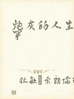 炮灰的人生2快穿封面