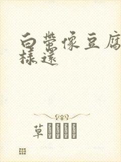 白带像豆腐渣一样还