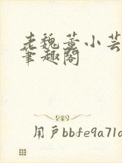 老魏董小芸全文笔趣阁封面