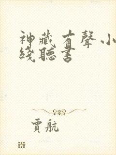 神藏有声小说在线听书封面