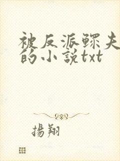 被反派鳏夫盯上的小说txt