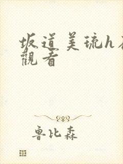 坂道美琉h在线观看封面