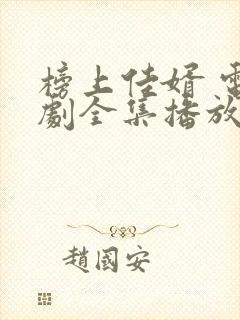 榜上佳婿 电视剧全集播放