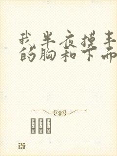 我半夜摸丰满亲的胸和下面小说