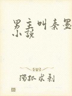 男主叫秦墨白的小说