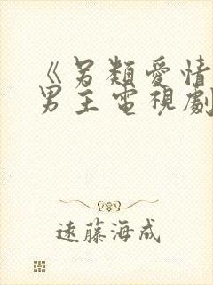 《另类爱情》双男主电视剧