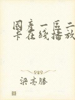 国产一区二区不卡在线播放