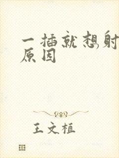 一插就想射什么原因