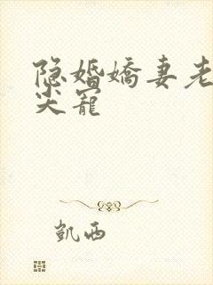 隐婚娇妻老公心尖宠