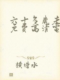 六十多岁老阿姨免费高清电视剧