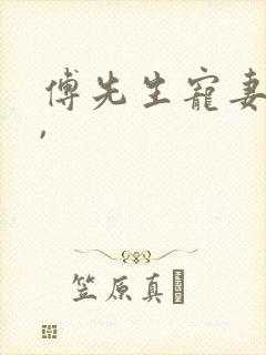 傅先生宠妻无度,