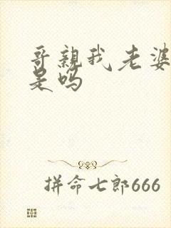 哥亲我老婆很爽是吗封面